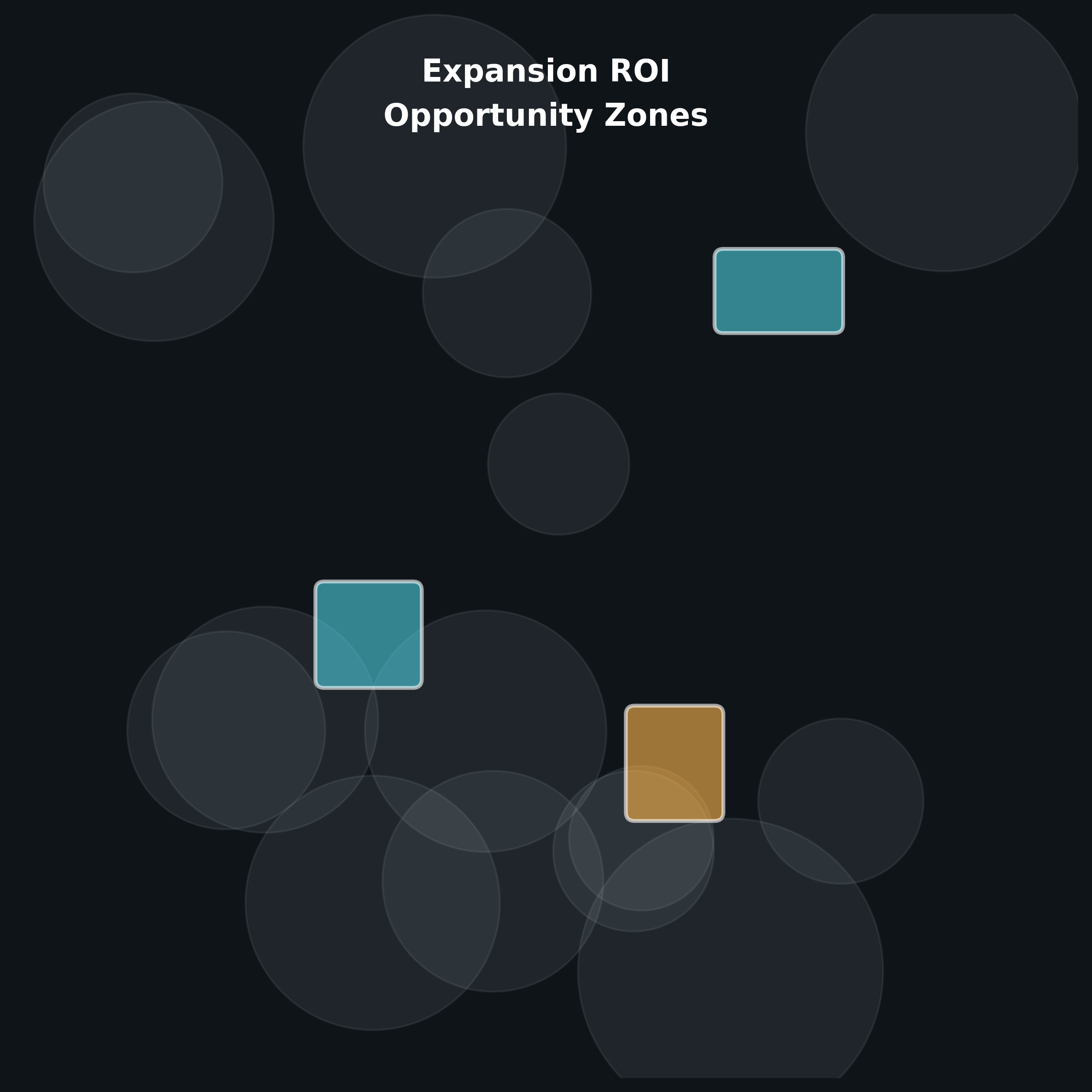 Opportunity zones dashboard highlighting strategic investment areas